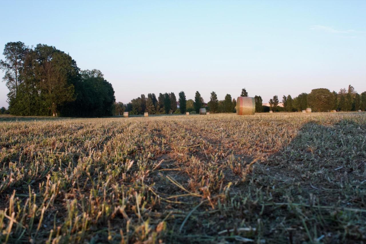 Il Gesuita Mantua Buitenkant foto